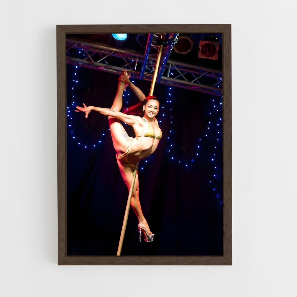 Poster Pole Dance Fever – affiche Danse (vue 5)